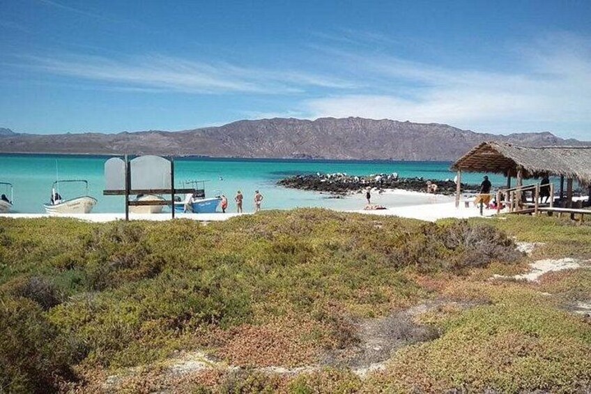Coronado Island Loreto BCS 3