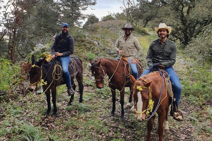 Horseback riding and camping in the mountains 3