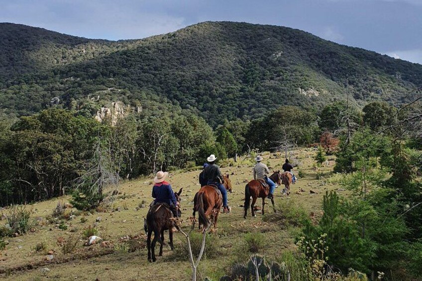 Horseback riding and camping in the mountains 2