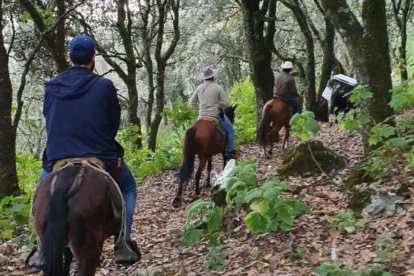 Horseback riding and camping in the mountains 4