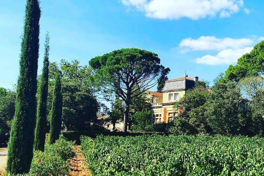 A garden with neatly trimmed hedges, a tall tree, and a building in the background. 5