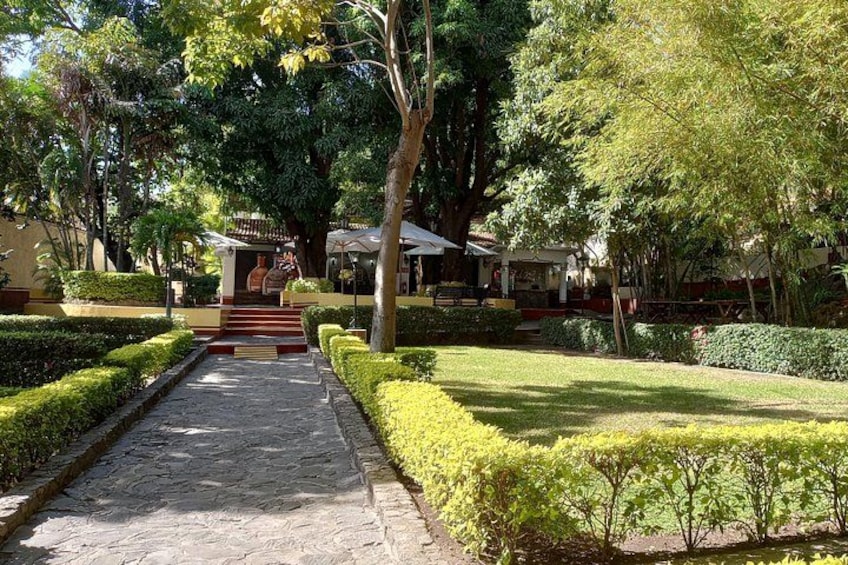 Orchard 4
