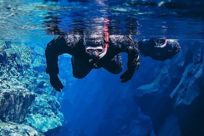 A person swimming underwater with a dog. 4