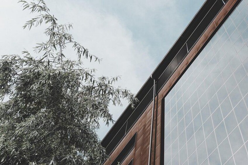 Architectural Mannheim: Private Tour with a Local Expert 5