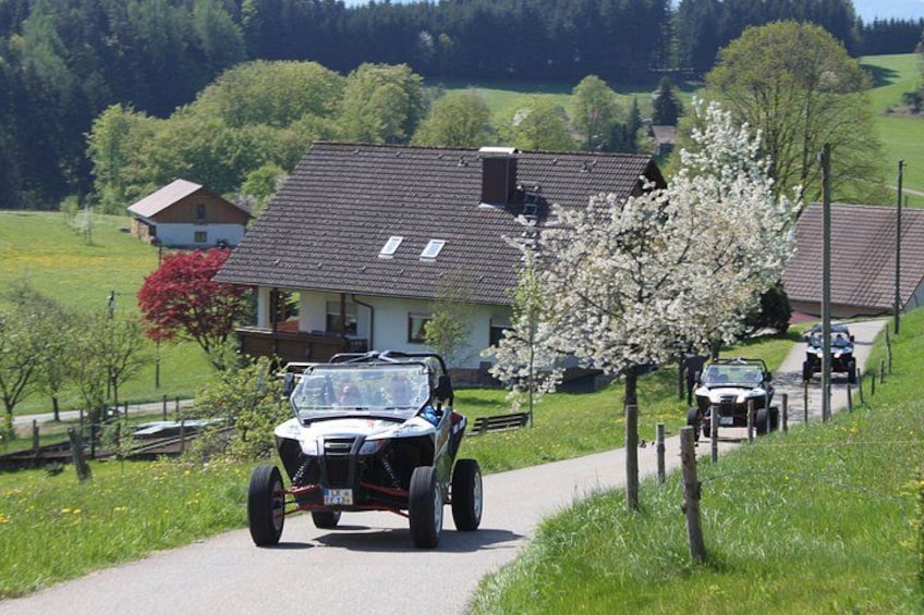 A white off-road vehicle on a paved path, a house with a sloped roof, and a blooming tree. 1