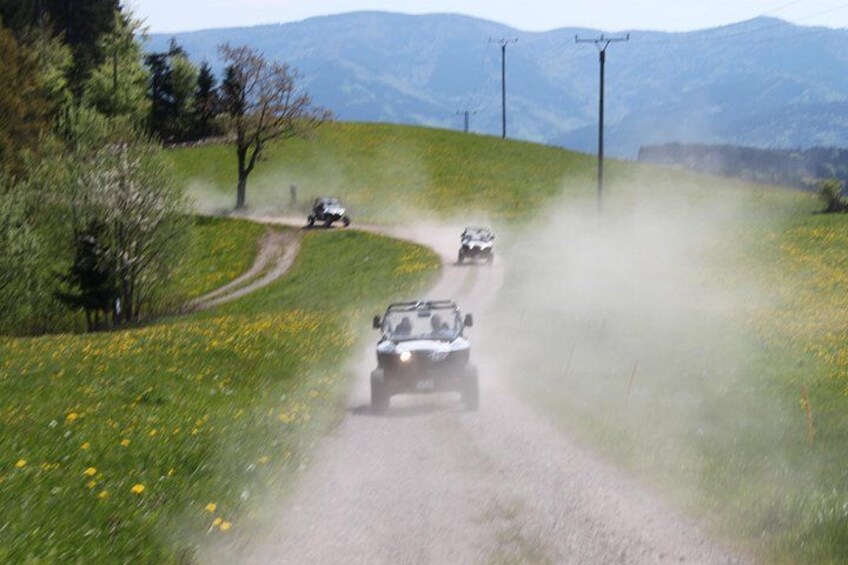 A dirt road with vehicles driving on it surrounded by green fields and mountains in the background. 3