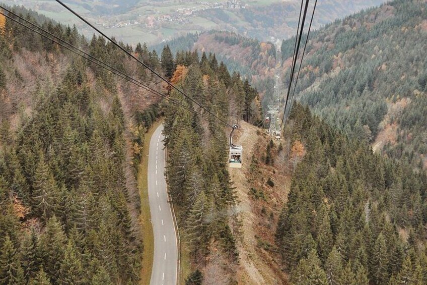 Panorama Hike through the Black Forest guided by a Local 5