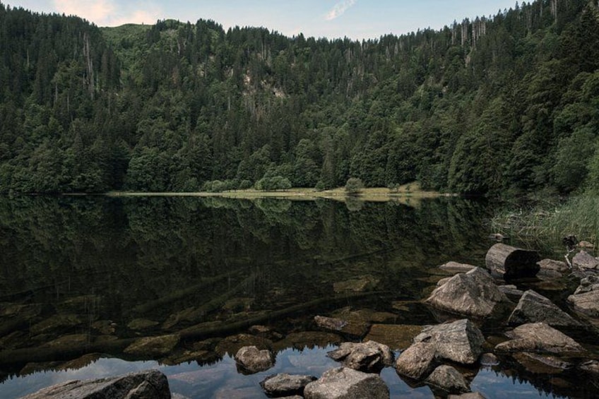 Panorama Hike through the Black Forest guided by a Local 2