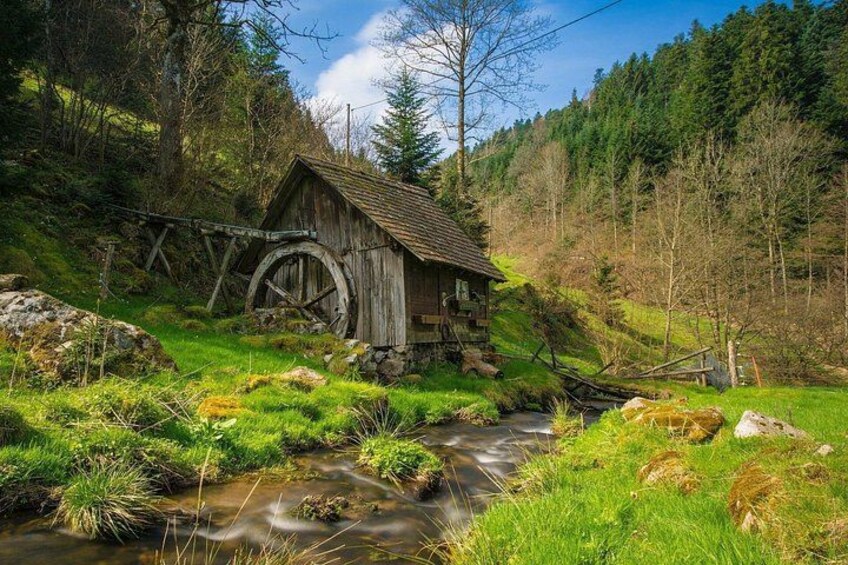 Culture and Traditions Hike through the Black Forest with a Local 1