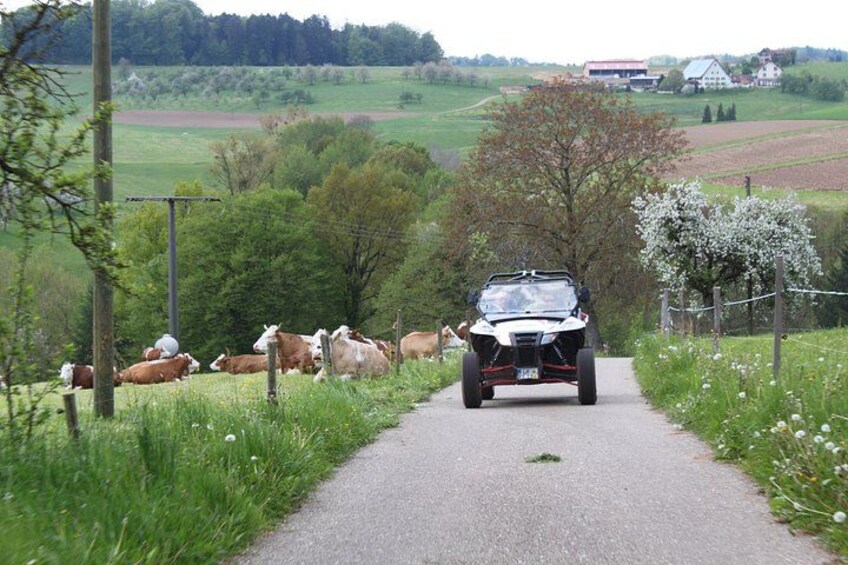 Taster tour 4x4 Offroad 4