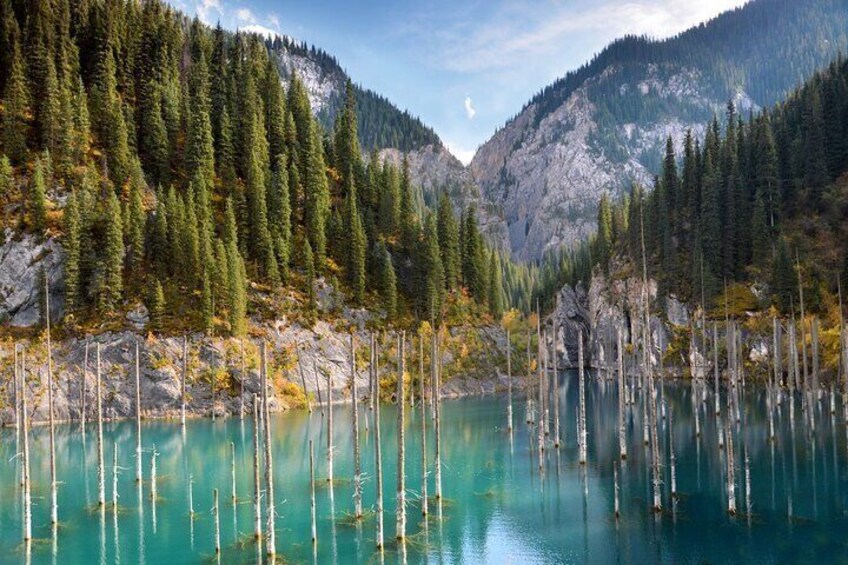 A lake surrounded by tall trees and rocky mountains. 5