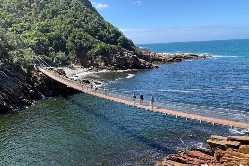 4 Day Garden Route Adventure & Safari 2