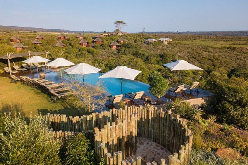 4 Day Garden Route Adventure & Safari 2