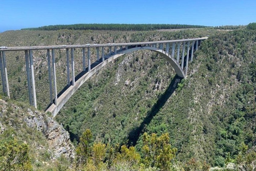 4 Day Garden Route Adventure & Safari 3