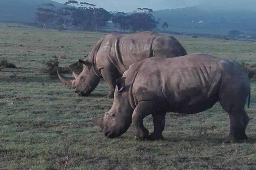 During Game drive on day 3 2