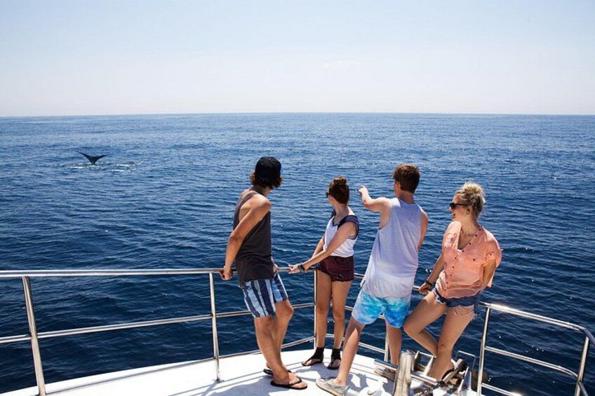 A group of people on a boat, looking at the ocean. 4