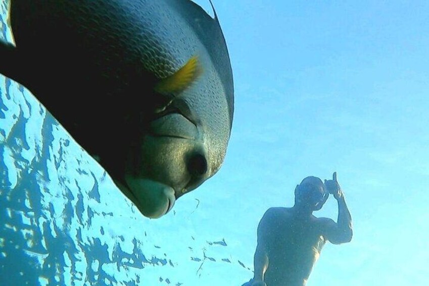 A diver and a fish underwater. 4
