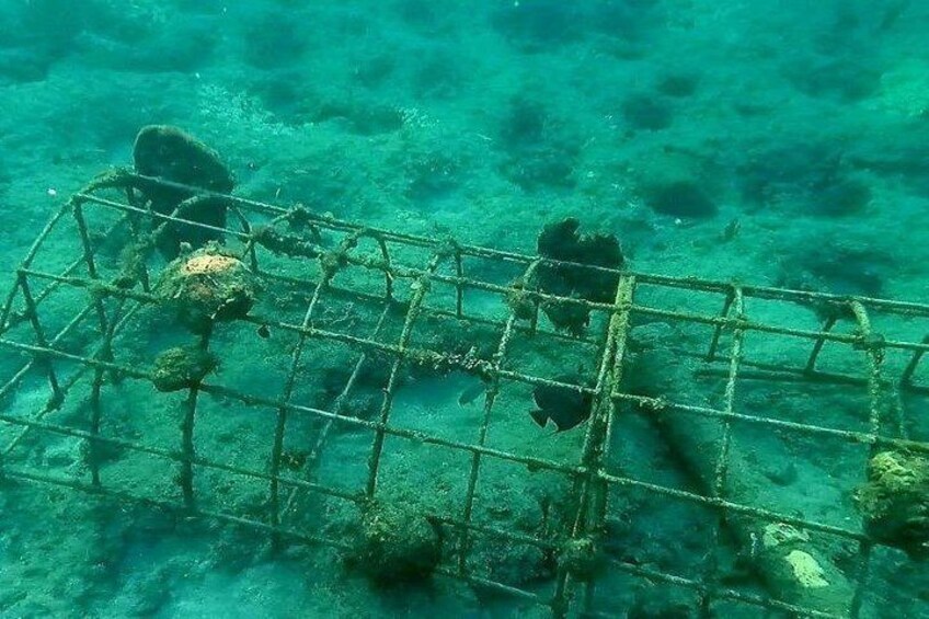 Escena submarina con una jaula metálica, rocas y vida marina. 3