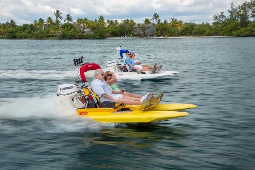 Deux scooters des mers sur une étendue d’eau calme, avec un paysage tropical en arrière-plan. 1