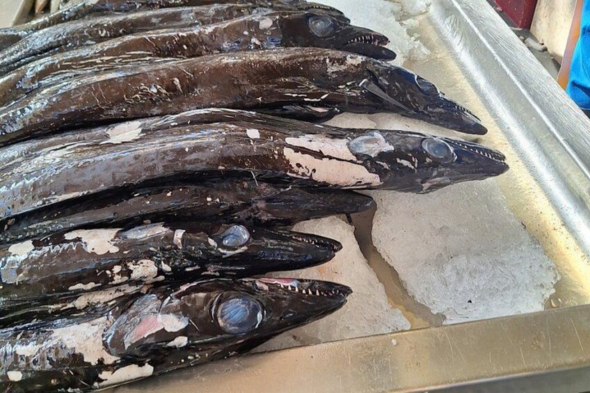 Fisch auf Eis präsentiert. 4