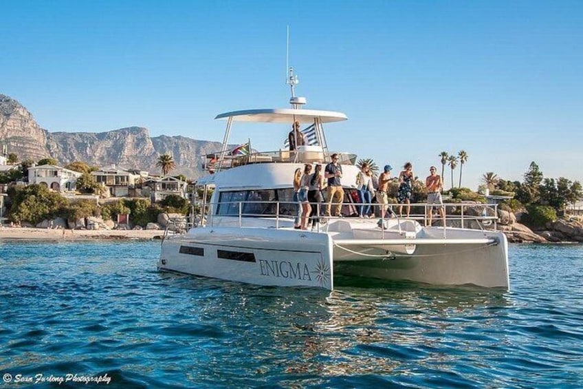 1 Hour Coastal Catamaran Cruise from Cape Town 2