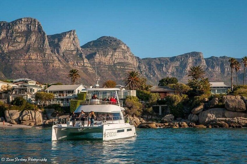 1 Hour Coastal Catamaran Cruise from Cape Town 1