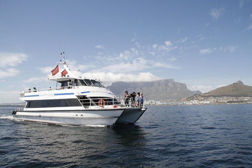 1 Hour Coastal Catamaran Cruise from Cape Town 3