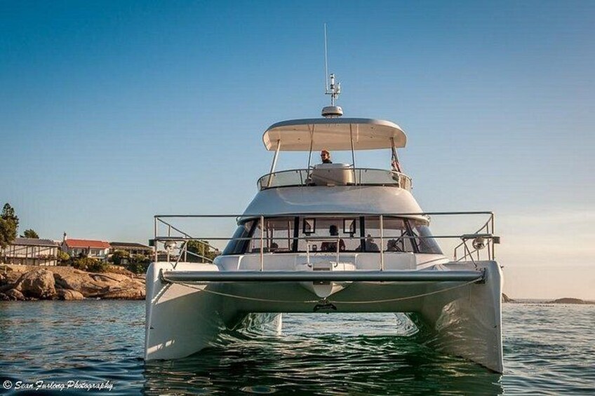 1 Hour Coastal Catamaran Cruise from Cape Town 3