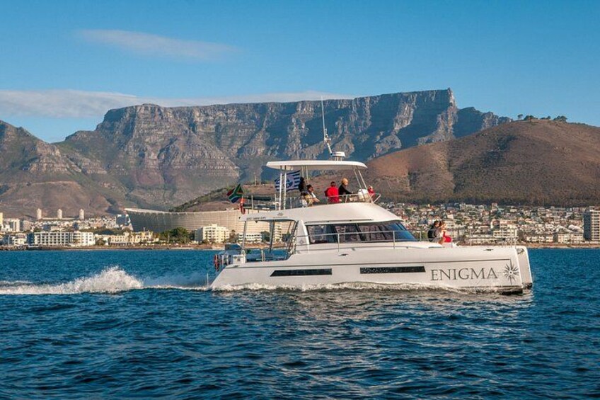 1 Hour Coastal Catamaran Cruise from Cape Town 5