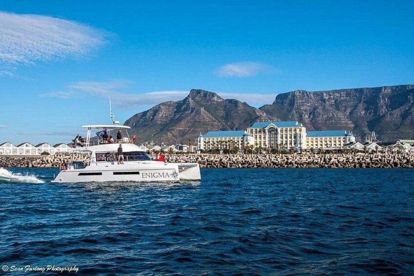 1 Hour Coastal Catamaran Cruise from Cape Town 2