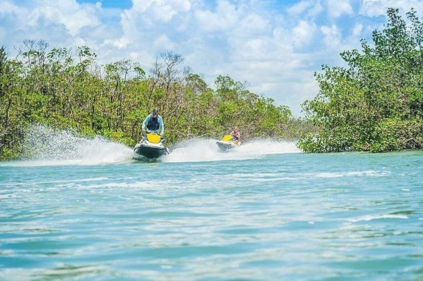 Two people jet-skiing on a body of water surrounded by dense mangrove vegetation. 3