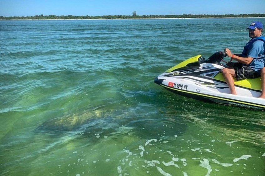 Eine Person fährt mit einem Jetski in klarem Wasser, im Hintergrund eine Küstenlinie. 5