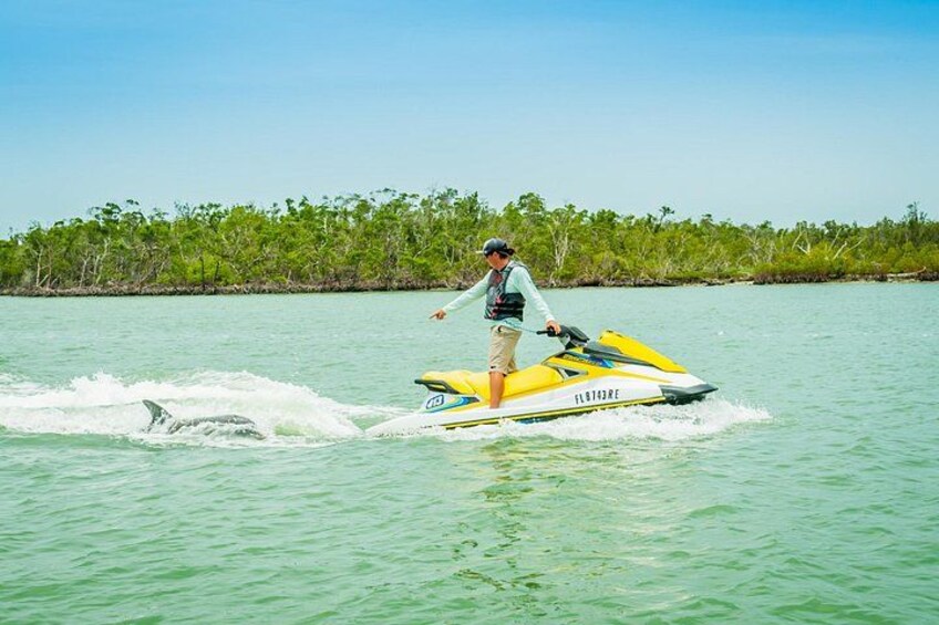 A person jet skiing on clear turquoise water with a backdrop of green vegetation and a clear sky. 2