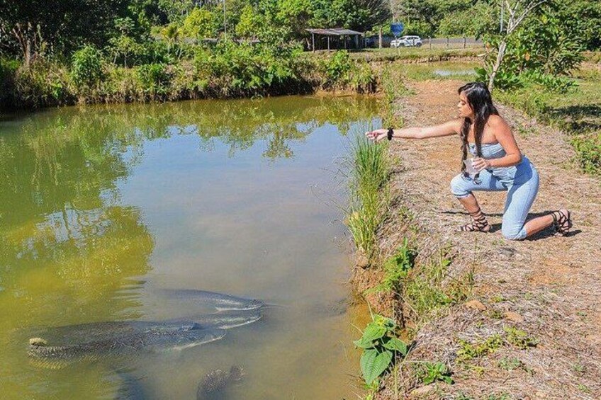 Visit the Ecuadorian Amazon 2