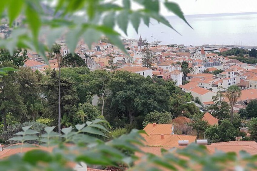 Private Tuk Tuk to Monte Tour from Funchal