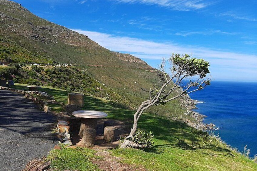 A coastal road with a picnic table and chairs, a tree, and a view of the ocean. 4
