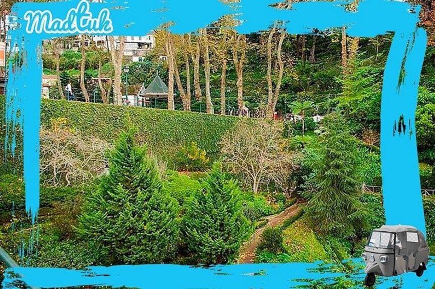 Üppige, grüne Landschaft mit einem Weg, Bäumen und einem Fahrzeug. 4