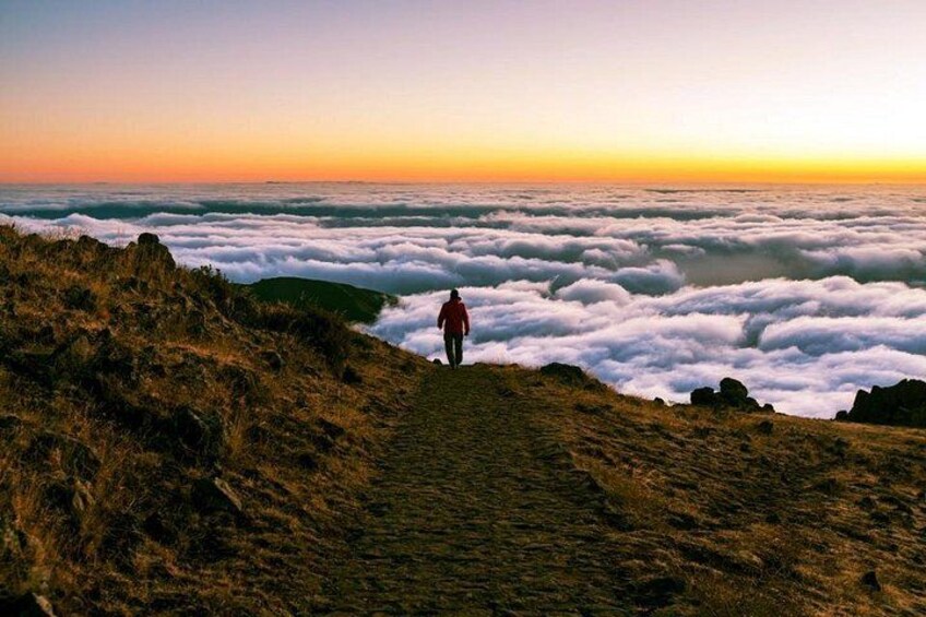 Pico Arieiro To Pico Ruivo/With Trail entry Fee Included PR 1 + 1.2 2