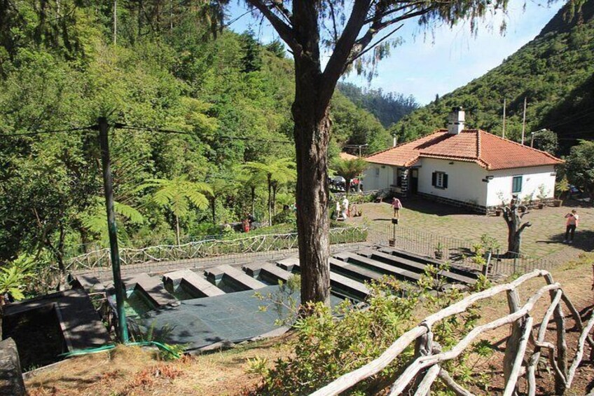 Ribeiro Frio Forest Park is located in Santana, Madeira, in the heart of Laurissilva. 4
