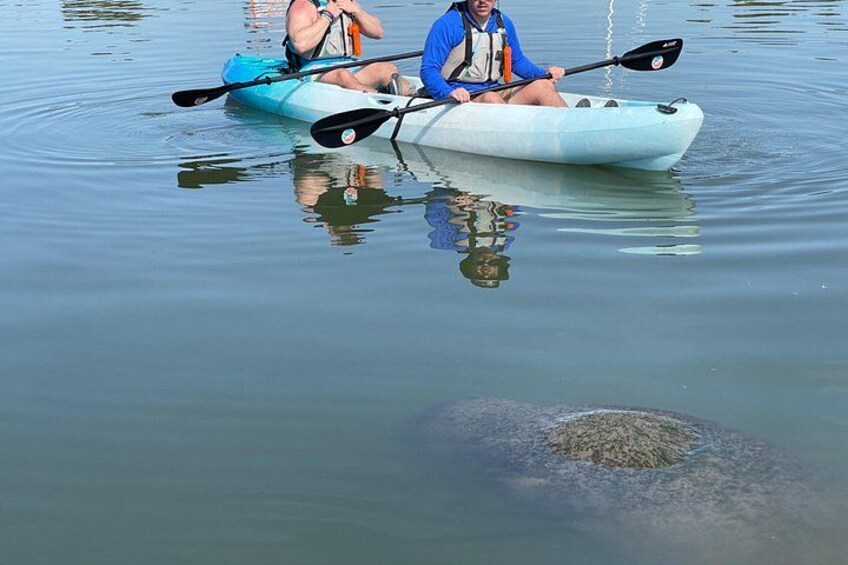 Zwei Personen paddeln in ruhigem Wasser, im Vordergrund ist eine Schildkröte zu sehen. 4
