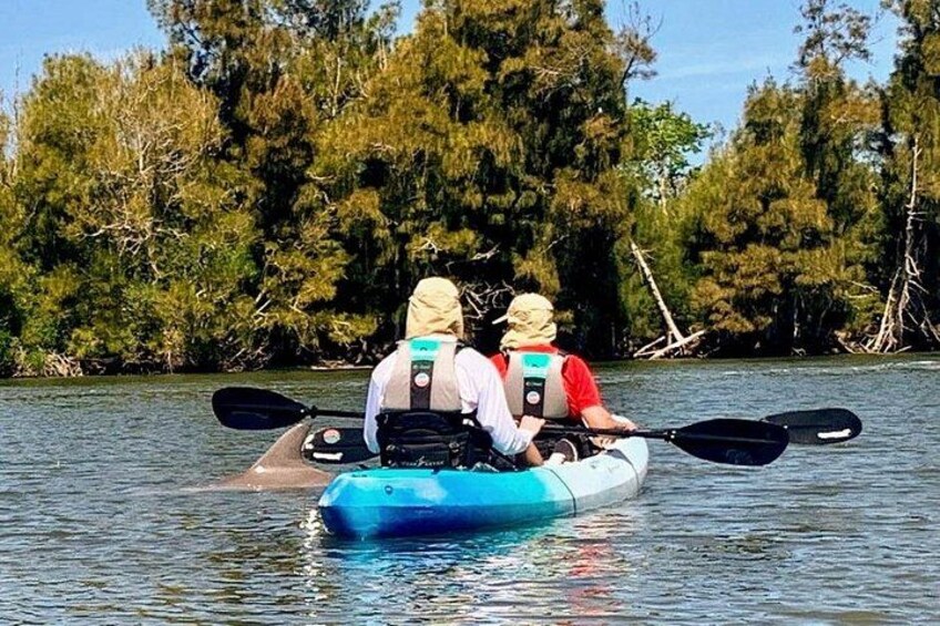 Wildlife Refuge Manatee, Dolphin & Mangrove Kayak or Paddleboarding Tour! 3
