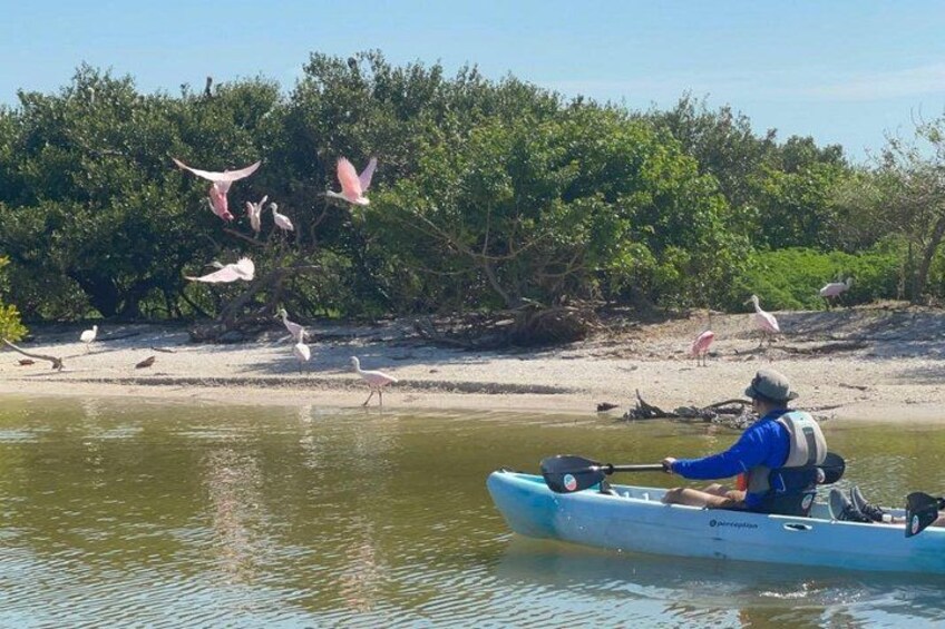 Iemand in een kajak op kalm water, omringd door bomen en een zandstrand. 4