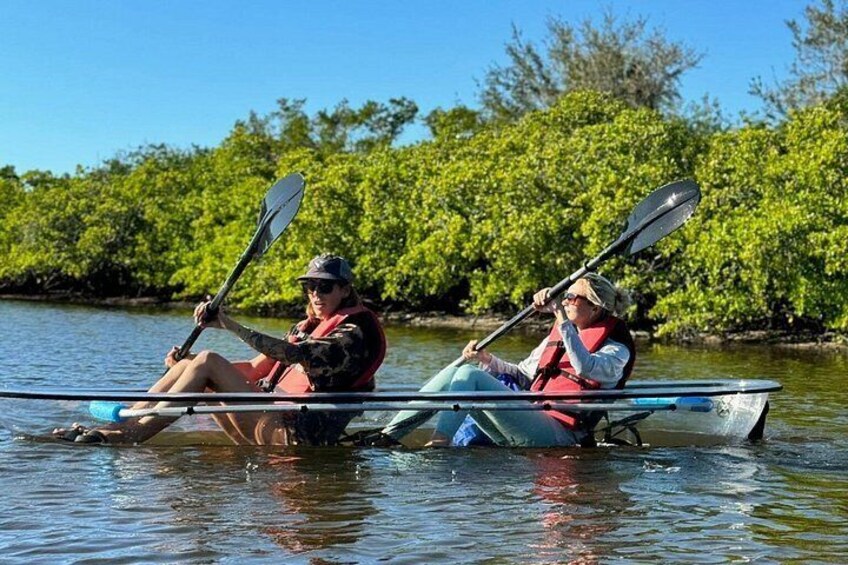 Two people kayaking on a calm river surrounded by mangrove trees. 2
