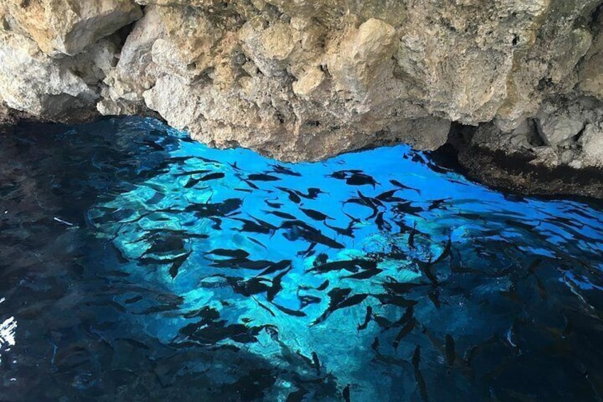 Boat trip to the caves in Paleokastritsa 4