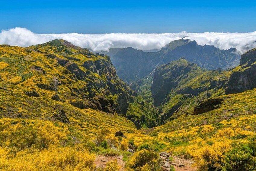 A mountainous landscape with a valley, lush greenery, and a path leading through it. 2