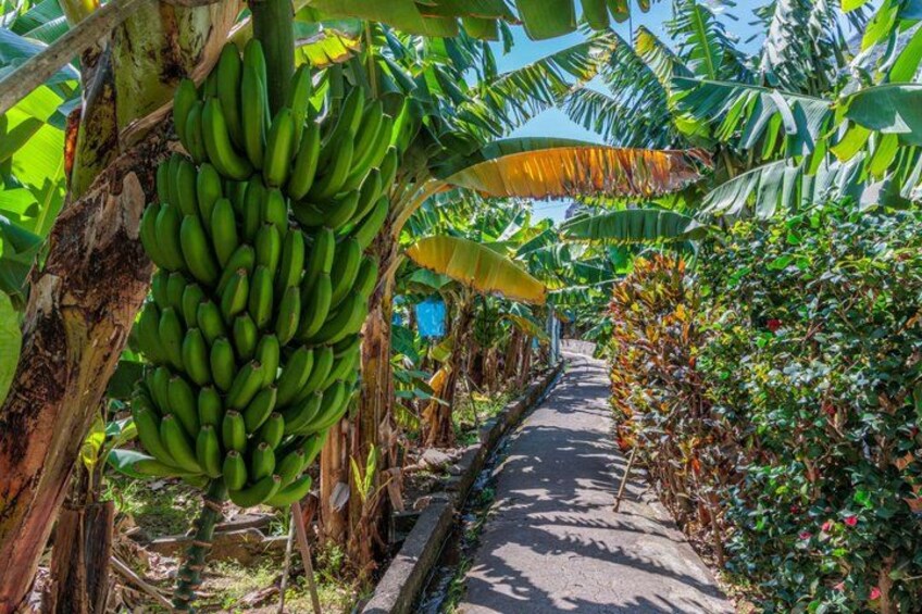 Around The Island - Two Days Tour From 9am To 5pm (Each Day) 2