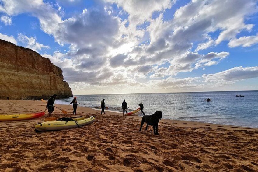 A beach with people, kayaks, and a dog. 3