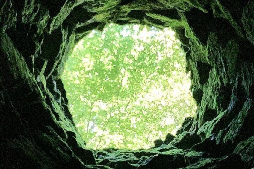 Quinta da Regaleira and Visit to Sintra Private Half Day Tour 3