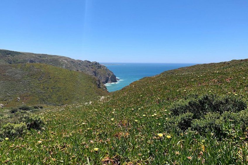 A coastal landscape with green hills, a clear sky, and the ocean in the distance. 4