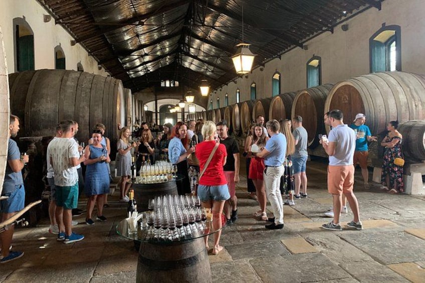 A group of people in a wine cellar with barrels and bottles. 1